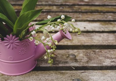 Panorama conso Mai 2019