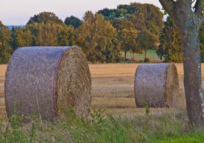Panorama conso octobre 2024