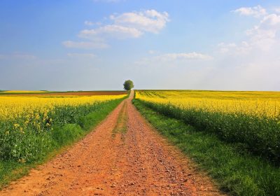 Panorama conso Mai 2021