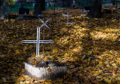 Panorama conso novembre 2021