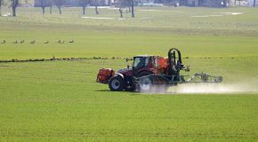 Pétition : En finir avec le glyphosate en Europe … enfin !