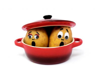 Robot cuiseur : Comment choisir un robot cuiseur