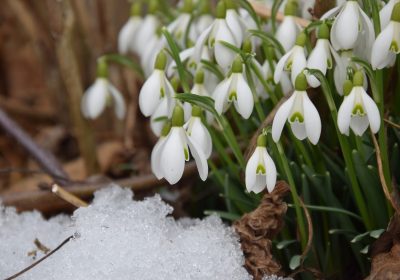 Panorama conso février 2022
