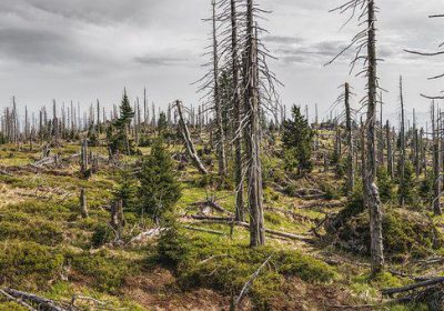 Panorama Conso août 2022