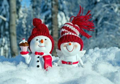 Panorama Conso Décembre 2022