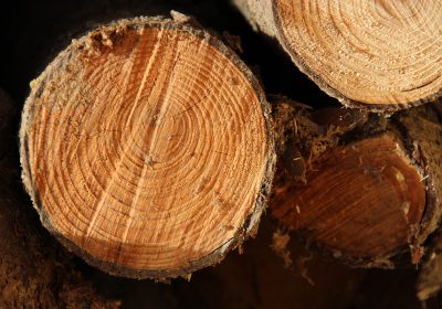 EFFY CONNECT tarde à verser la prime annoncée