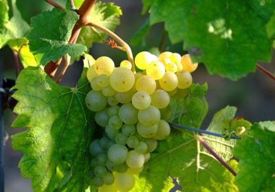 Panorama Septembre 2023