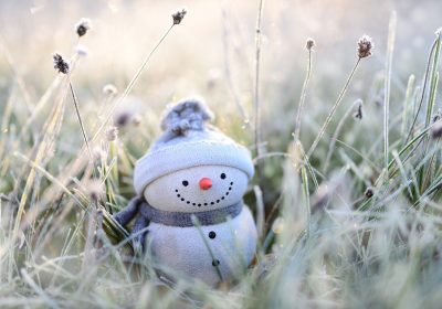 Panorama Conso Décembre 2023