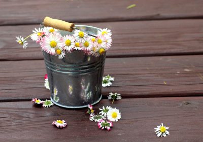 Panorama conso mai 2024