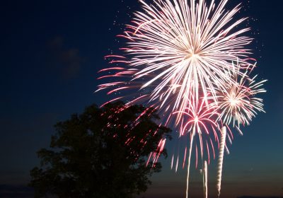 Panorama conso juillet