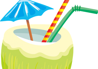 Panorama conso août 2024