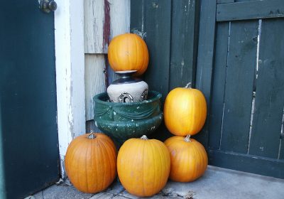 Panorama conso novembre 2024