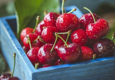 Panorama conso juin 2025