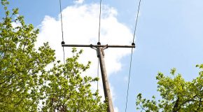 Elagage ! Qui en a la responsabilité ?