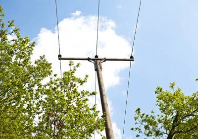 Elagage ! Qui en a la responsabilité ?