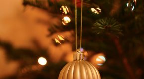 Panorama conso décembre