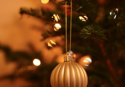 Panorama conso décembre